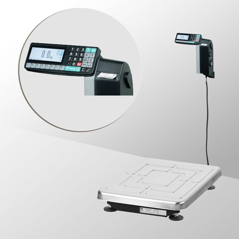 Весы с печатью этикеток TB-S-200.2-RL1 