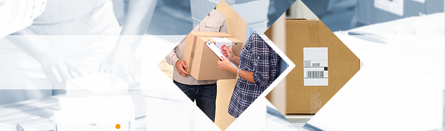 ТСД Newland в городе Казань